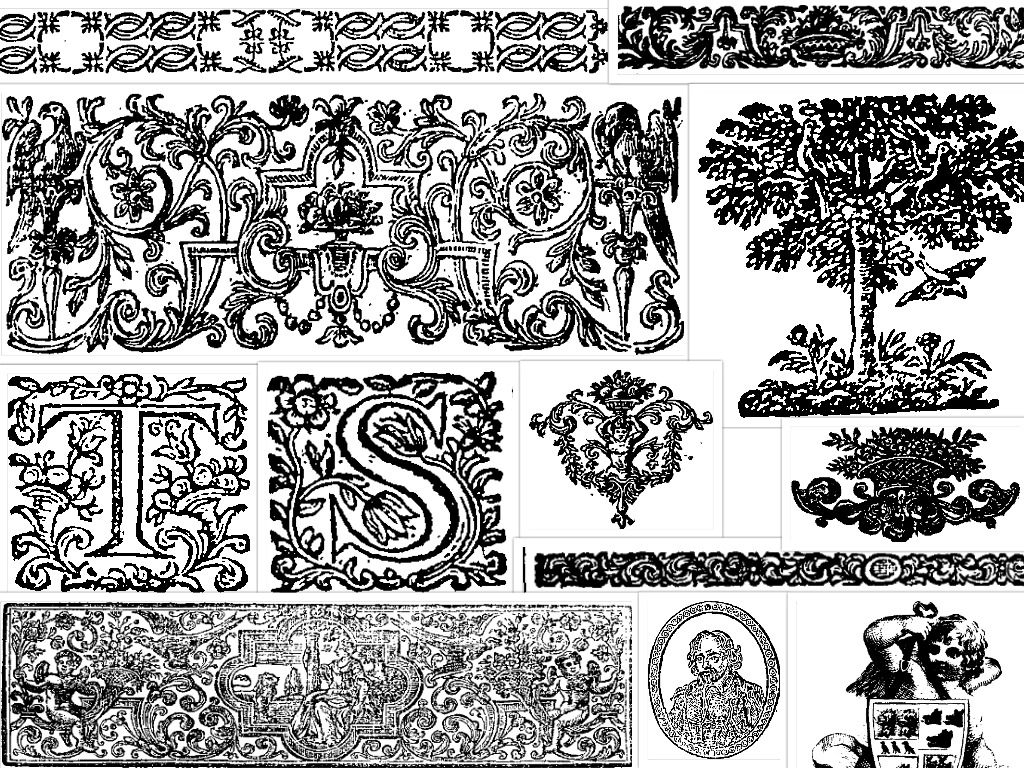 Examples of valid images